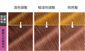 星光玫瑰  染後髮色示意圖