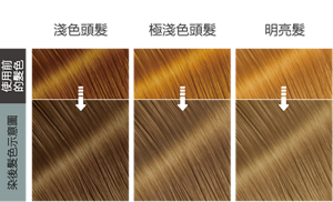 時空耀灰  染後髮色示意圖