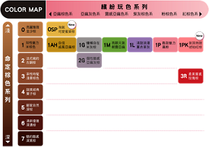 莉婕頂級奶霜泡沫染髮劑Color Map