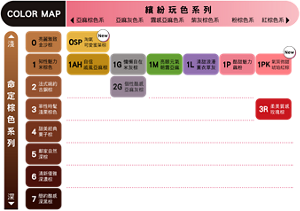 莉婕頂級奶霜泡沫染髮劑Color Map