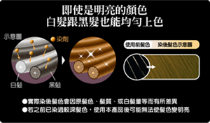即使是明亮的顏色 白髮跟黑髮也能均勻上色