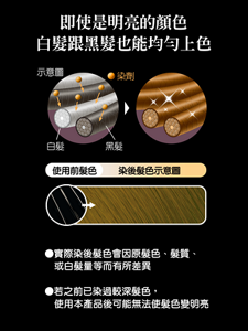 即使是明亮的顏色 白髮跟黑髮也能均勻上色