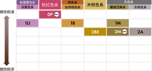 莉婕頂級透亮光感染髮霜Color Map