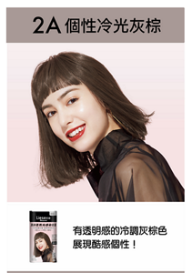 2A 個性冷光灰棕