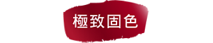極致固色
