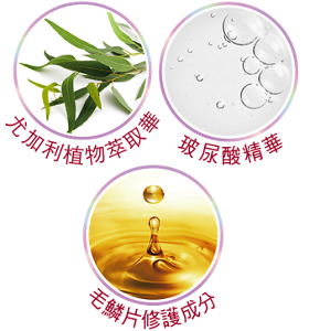尤加利植物萃取 玻尿酸精華 毛鱗片修護成分