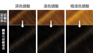 染後髮色示意圖 使用前的髮色
