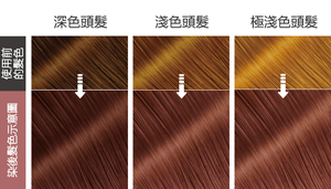 染後髮色示意圖 使用前的髮色