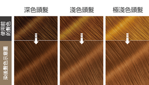 染後髮色示意圖 使用前的髮色