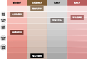莉婕頂級微米泡染髮凝膠 Color Map