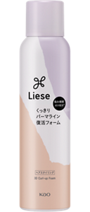 (圖) 3D立體蓬捲慕絲