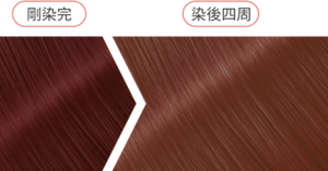 櫻桃高光紅 染後四周髮色示意圖