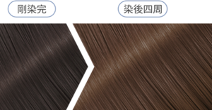 蝶豆花冷藍 染後四周髮色示意圖