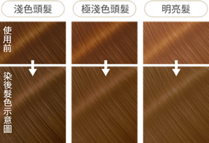 榛果拿鐵灰 染後髮色示意圖