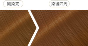 小麥牛奶棕 染後四周髮色示意圖