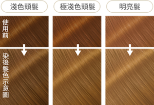 小麥牛奶棕 染後髮色示意圖