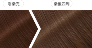 摩卡米灰棕 染後四周髮色示意圖