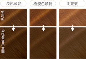 摩卡米灰棕 染後髮色示意圖