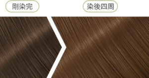 橄欖卡其綠 染後四周髮色示意圖