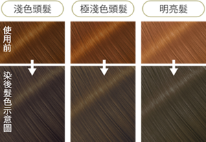 橄欖卡其綠 染後髮色示意圖