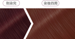 薰衣草粉紫 染後四周髮色示意圖