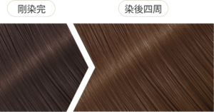 午夜月光灰 染後四周髮色示意圖