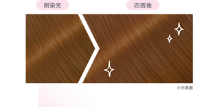 染後髮色示意圖
