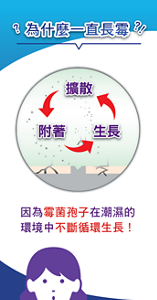 為什麼一直長霉？因為霉菌孢子在潮濕的 環境中不斷循環生長!