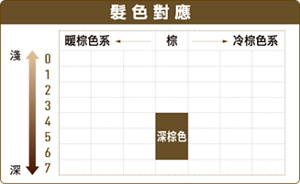 髮色對應 深棕色