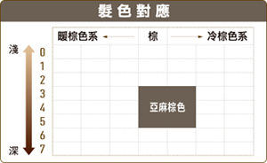髮色對應 亞麻棕色