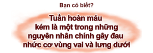 Bạn có biết? Tuần hoàn máu  kém là một trong những nguyên nhân chính gây đau  nhức cơ vùng vai và lưng dưới