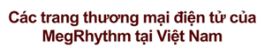Các trang thương mại điện tử của MegRhythm tại Việt Nam