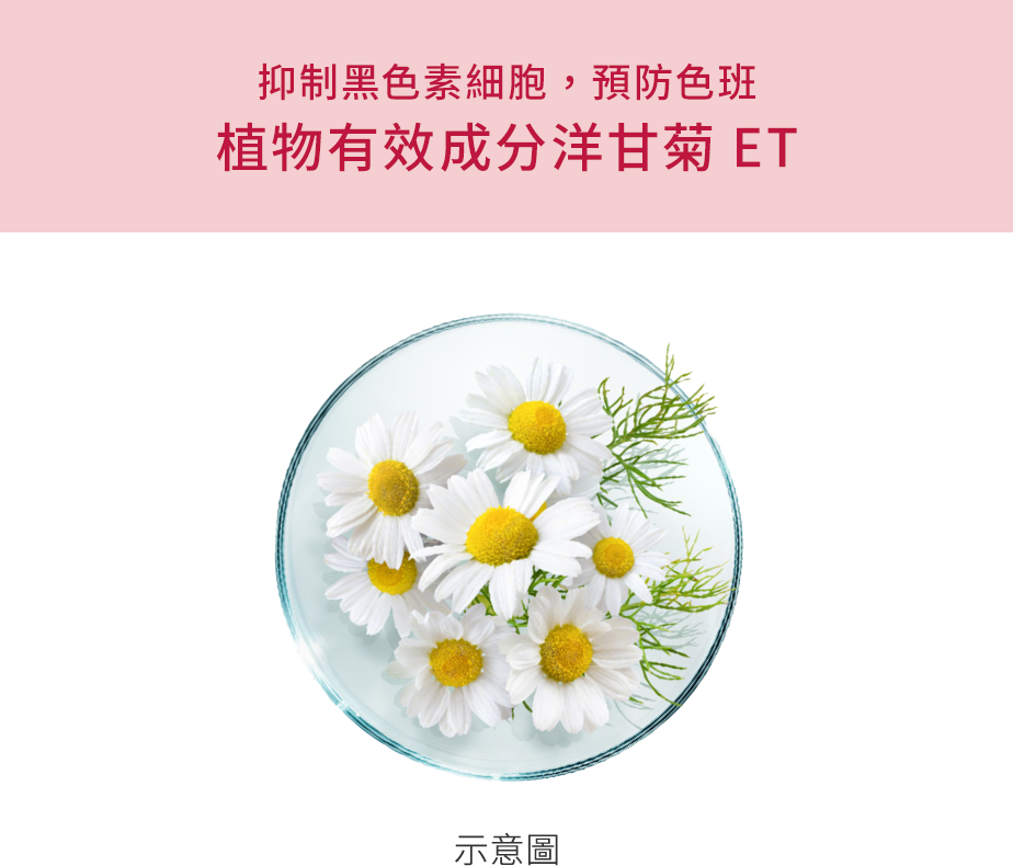 花王SOFINA ALBLANC 產品介紹潤白美肌乳液