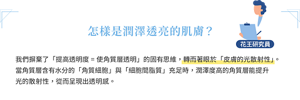 怎樣是潤澤透亮的肌膚？我們摒棄了「提高透明度=使角質層透明」的固有思維，轉而著眼於「皮膚的光散射性」。當角質層含有水分的「角質細胞」與「細胞間脂質」充足時，潤澤度高的角質層能提升光的散射性，從而呈現出透明感。