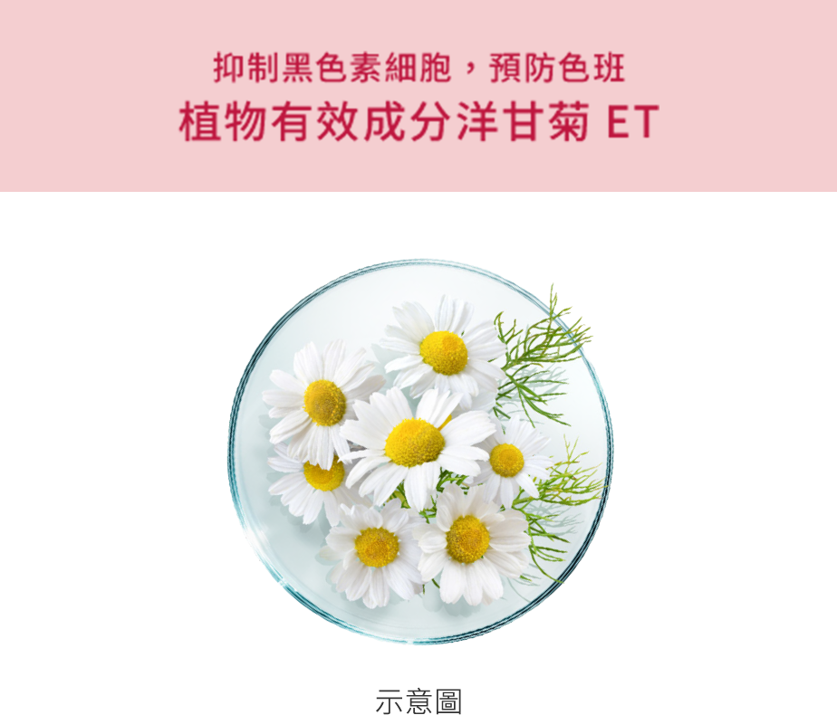 花王SOFINA ALBLANC 產品介紹潤白美肌防曬乳液