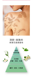 清新、高雅的 綠葉花香調香味 綠葉 果香柑橘 花香調 鈴蘭、茉莉、玫瑰 麝香、琥珀	木質調