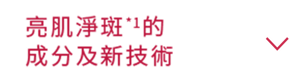 亮肌淨斑*1的成分及新技術