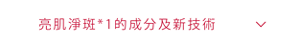 亮肌淨斑*1的成分及新技術