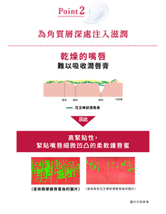 Point2 為角質層深處注入滋潤 乾燥的嘴唇難以吸收潤唇膏 因此 高緊貼性， 緊貼嘴唇細微凹凸的柔軟護唇蜜 