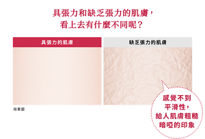 具張力和缺乏張力的肌膚， 看上去有什麼不同呢？ 具張力的肌膚 缺乏張力的肌膚 感覺不到 平滑性， 給人肌膚粗糙 暗啞的印象