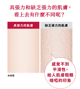 具張力和缺乏張力的肌膚， 看上去有什麼不同呢？ 具張力的肌膚 缺乏張力的肌膚 感覺不到 平滑性， 給人肌膚粗糙 暗啞的印象