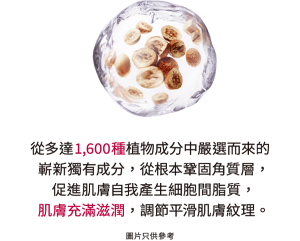 從多達1,600種植物成分中嚴選而來的嶄新獨有成分， 從根本鞏固角質層， 促進肌膚自我產生細胞間脂質， 肌膚充滿滋潤，調節平滑肌膚紋理。