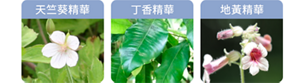 天竺葵精華 丁香精華 地黃精華