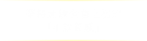 堅持延續發售之初的「4款質感」