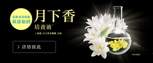 月下香培養液α*