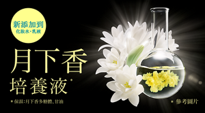 月下香培養液α* *保濕：月下香多糖體、甘油