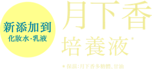 新添加到 月下香培養液α*