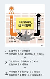 1.肌膚受到紫外線照射後，內皮素便會發出「製造黑色素」的指令。  2. 「洋甘菊ET」有效抑制內皮素向黑色素細胞傳遞訊息。  3. 抑制過量黑色素形成，在早期階段摧毀色斑的醖釀期，預防色斑的產生。