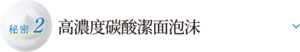 秘密2 高濃度碳酸潔面泡沫