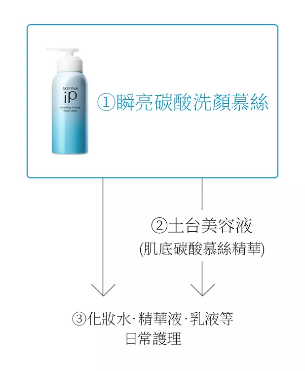 洗顔料 SOFINA iP renewing mousse facial wash Sofina Renew Mousse Wash (Ingredients Explained)